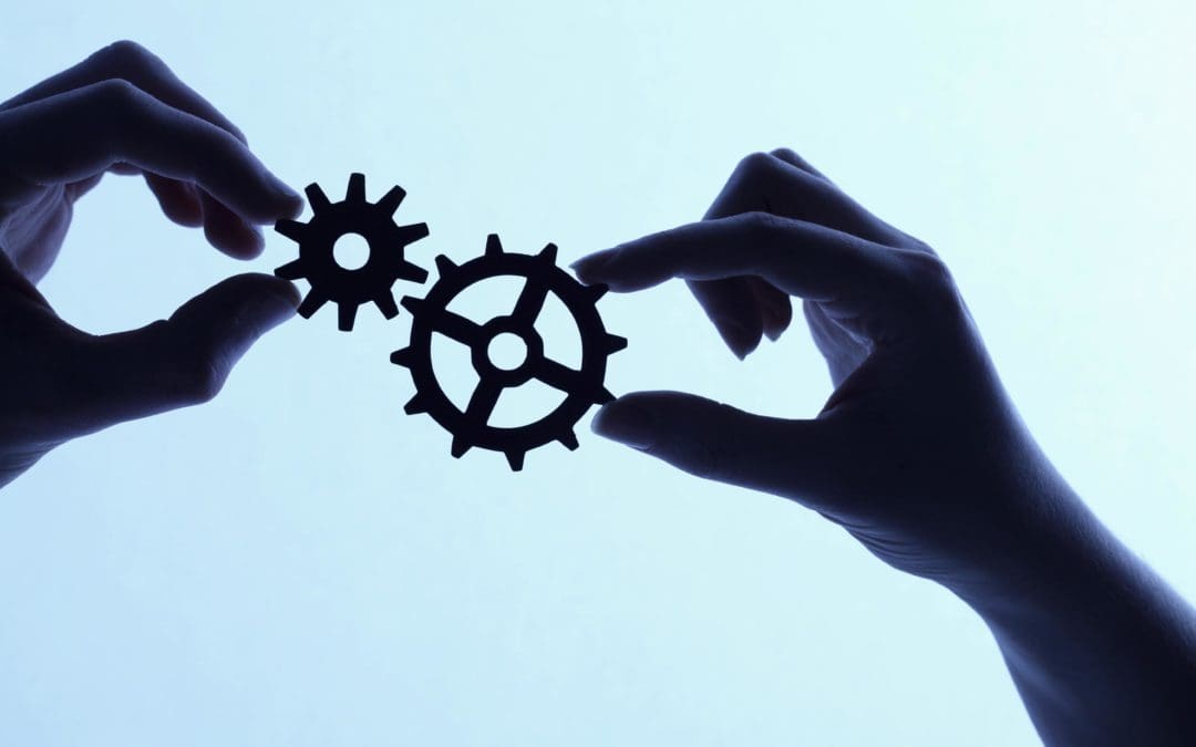 The Synergy of Product Marketing and Product Management: A Detroit Exposure Perspective